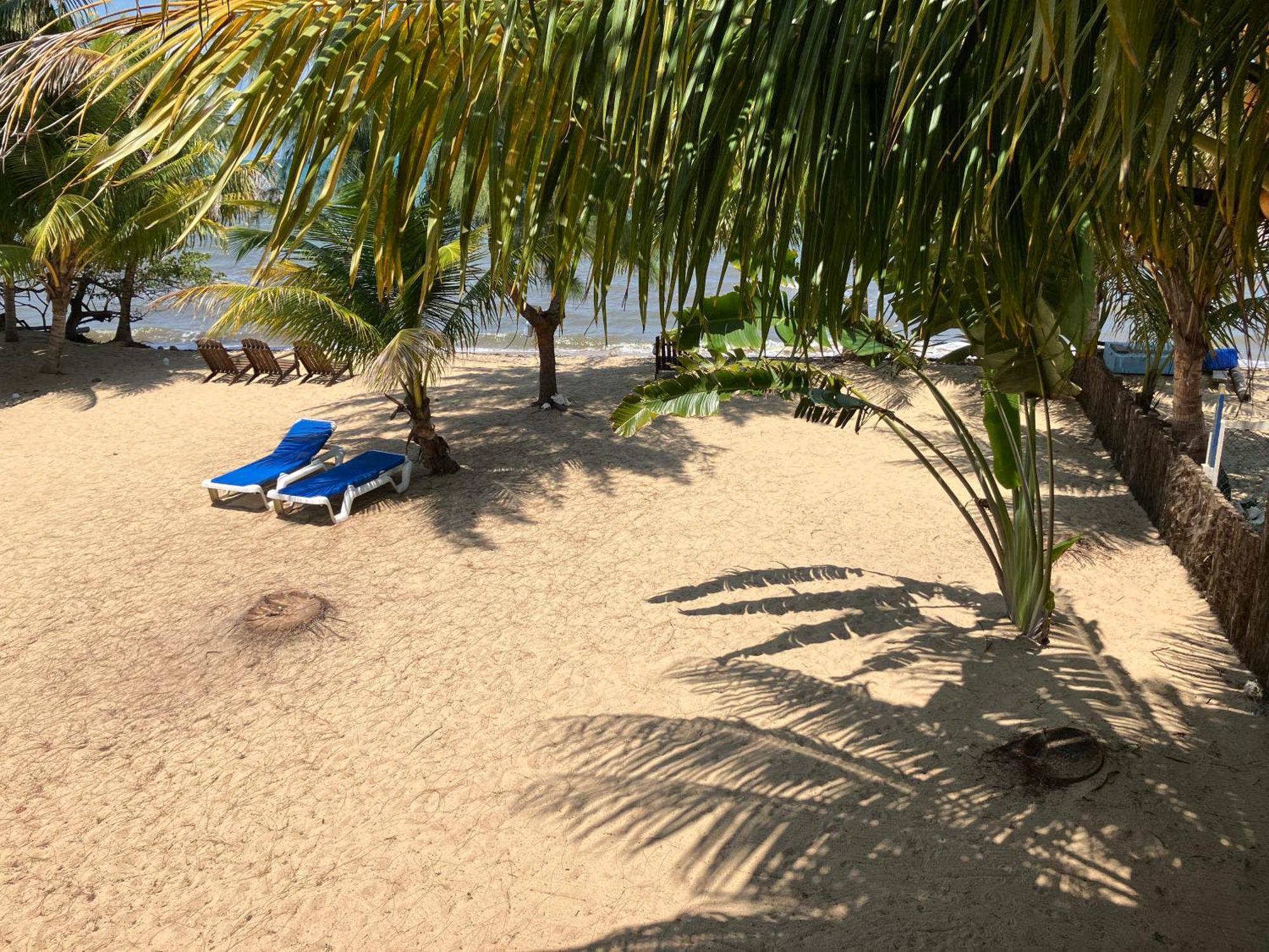 Lost Reef Resort Riversdale Bagian luar foto