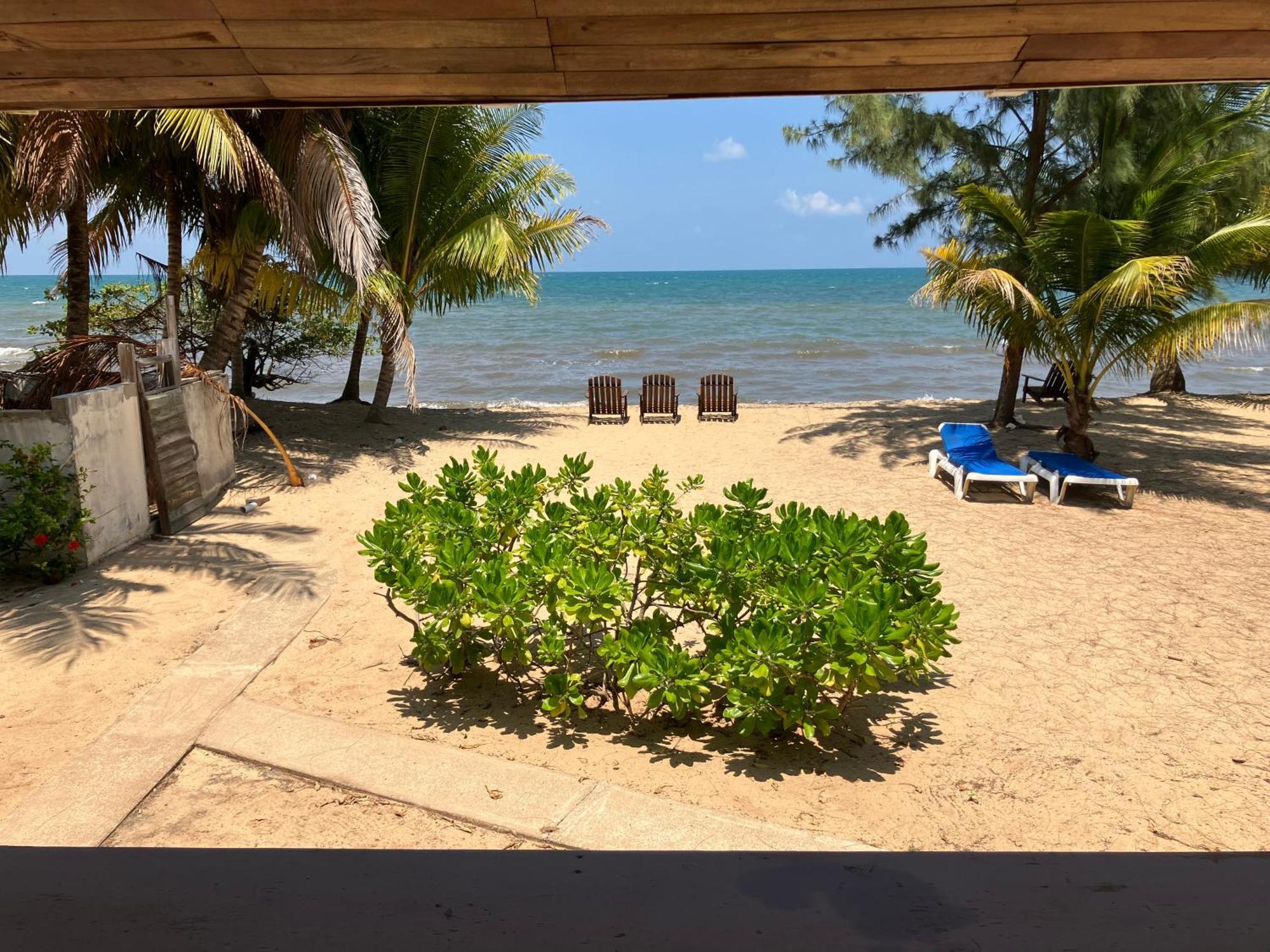 Lost Reef Resort Riversdale Bagian luar foto