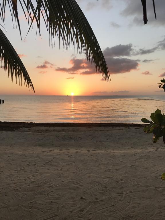 Lost Reef Resort Riversdale Bagian luar foto