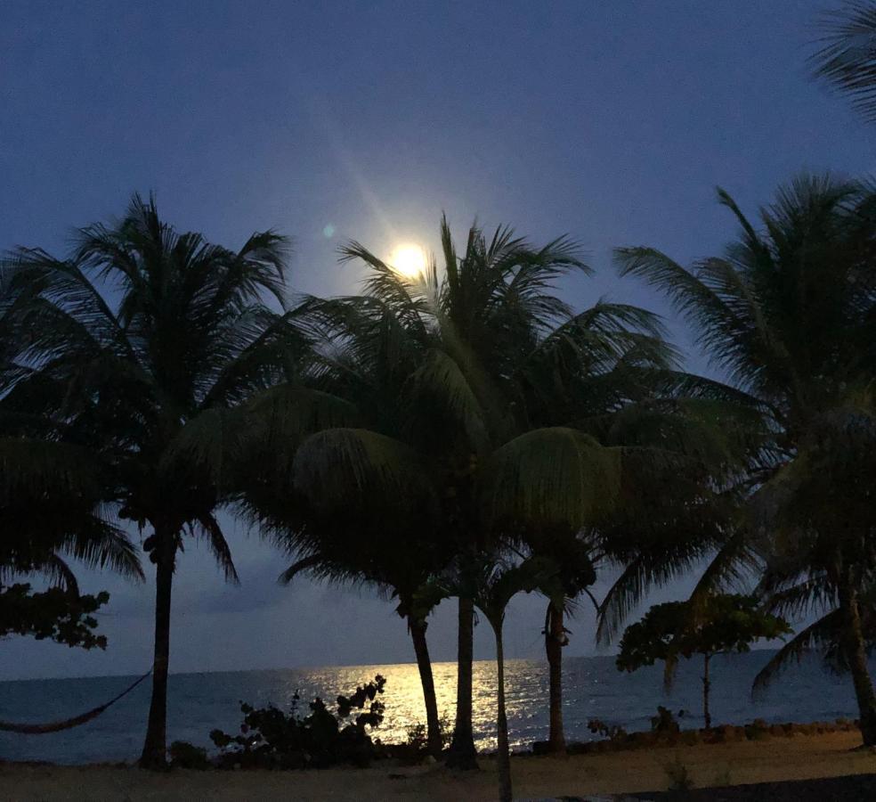 Lost Reef Resort Riversdale Bagian luar foto